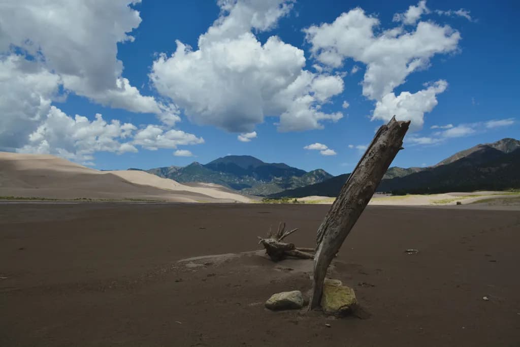 Whispers of the Desert: A Solitary Log Against a Majestic Mountain Backdrop