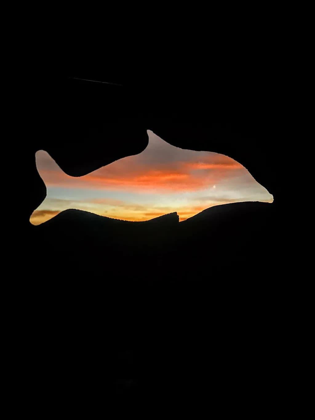 Dolphin Dreams: A Sunset Silhouette of Serenity