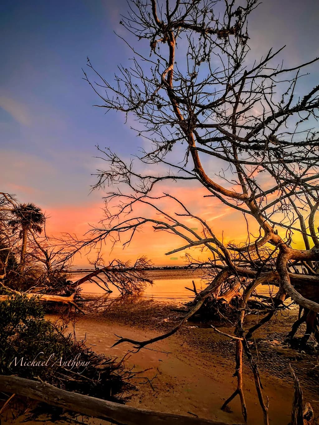 Whispers of Twilight: A Serene Sunset Over the Marshlands