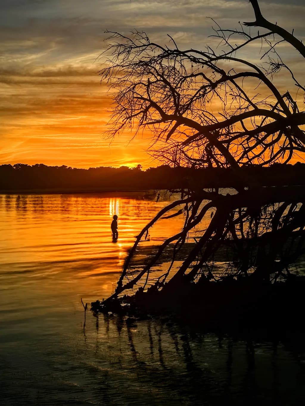Whispers of Twilight: A Serene Sunset Reflection by the Water's Edge