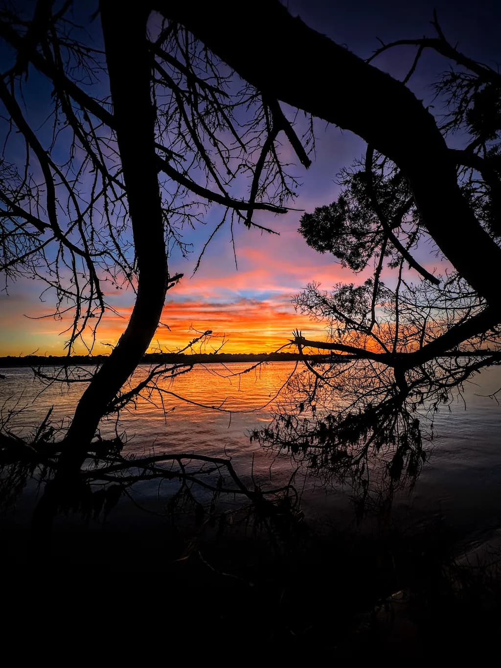 Whispers of Twilight: A Serene Sunset Framed by Nature's Embrace