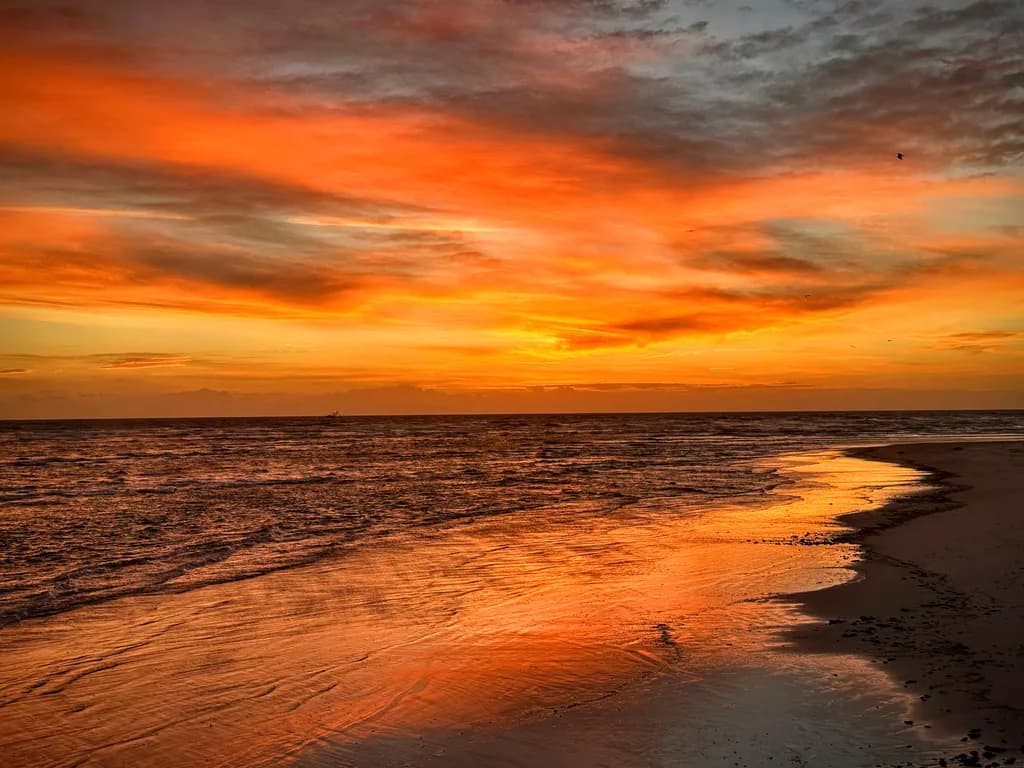 Serenade of Sunset: A Tranquil Evening by the Shoreline