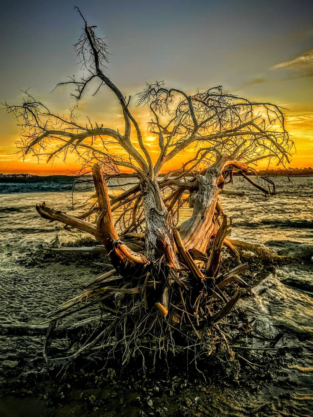 Whispers of Twilight: A Silhouette of Resilience Against the Sunset Sky