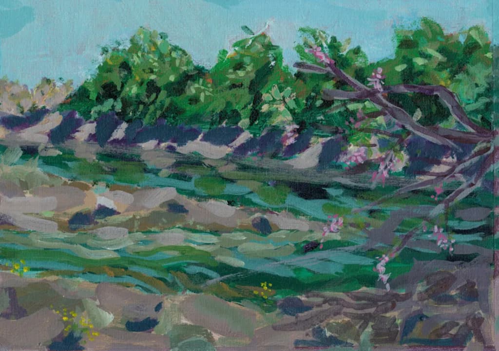 Whispers of Nature: A Southwestern Impression of Tranquil Waters and Blossoming Greens