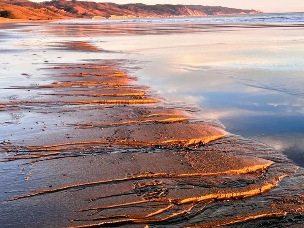 Point Reyes Coastline