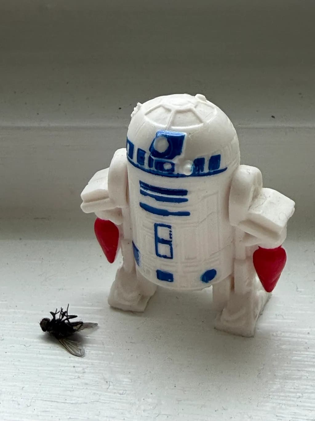 R2-D2 and Fly