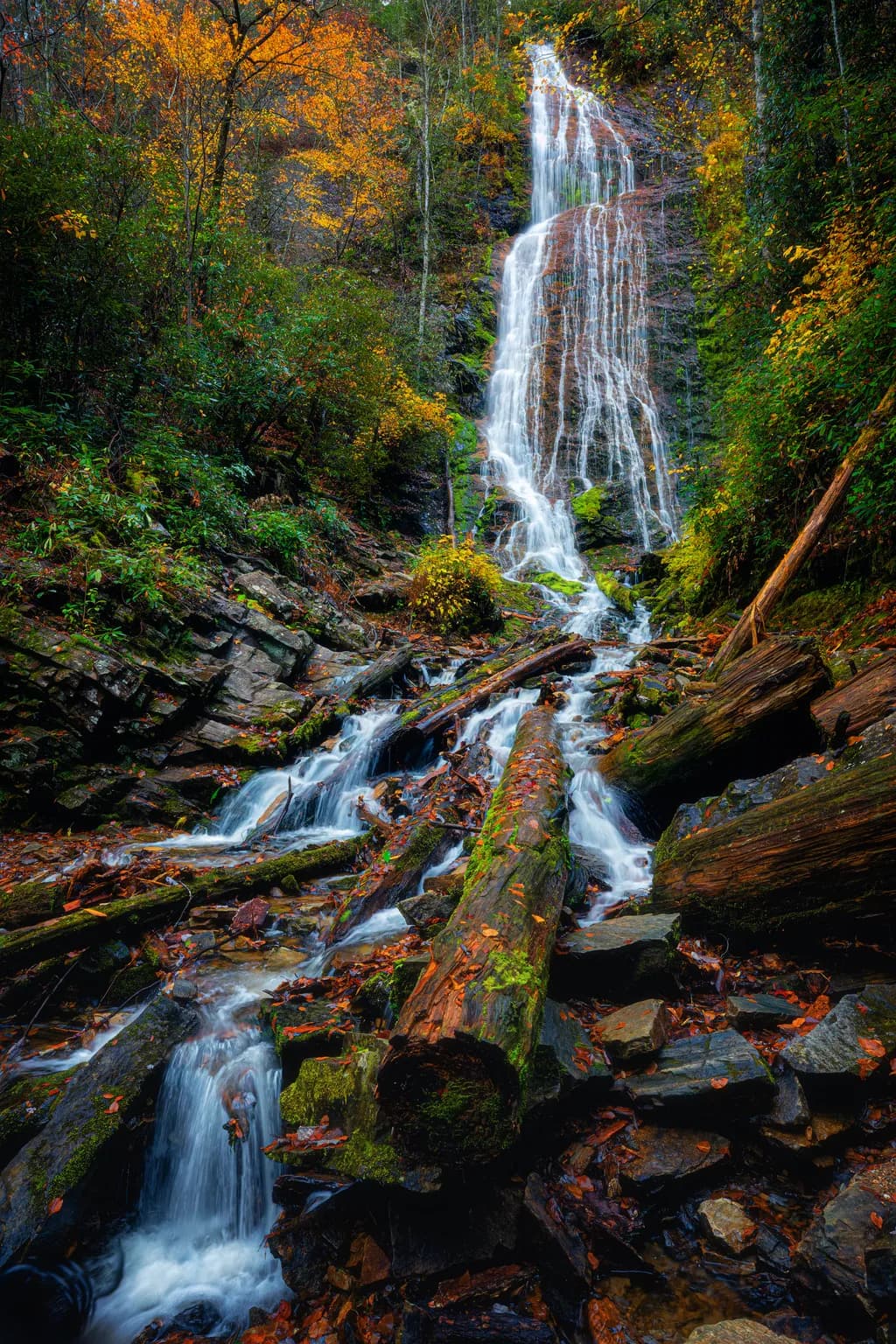 Whispers of Autumn: A Tranquil Waterfall Journey Through the Forest's Embrace