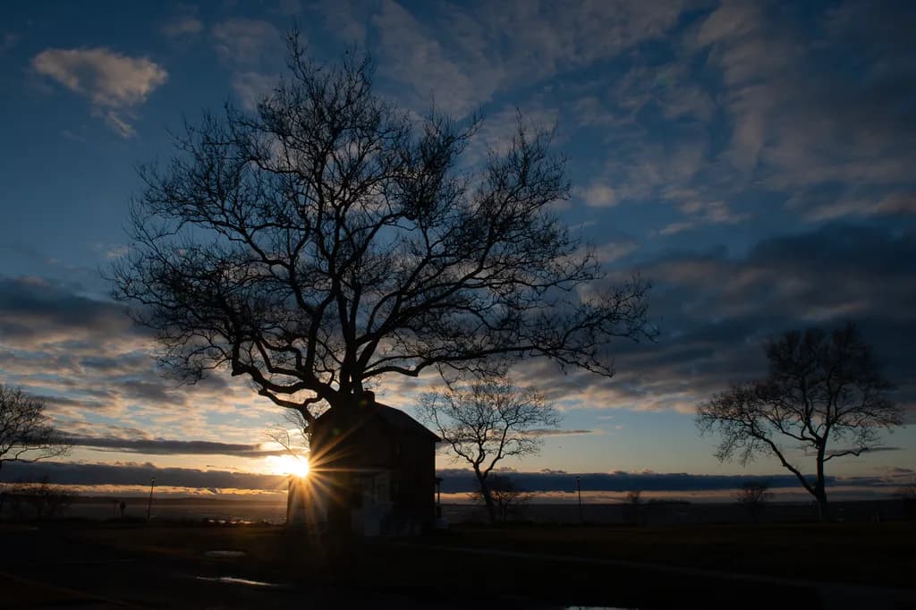 Dusk Silhouette