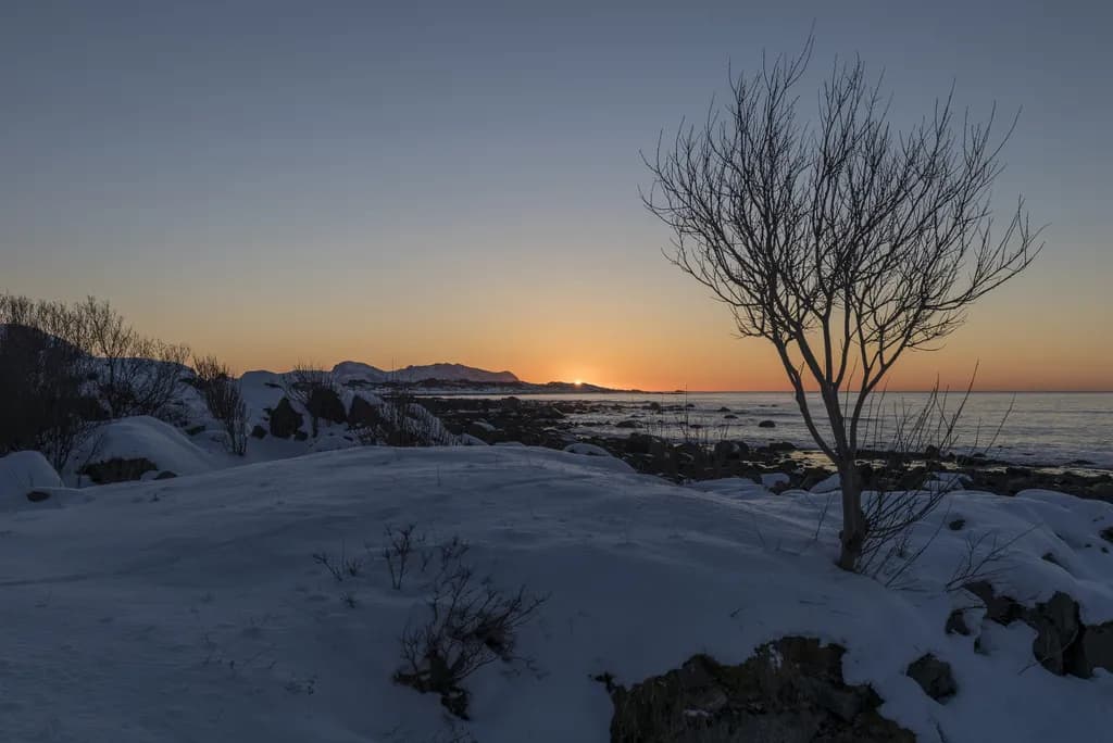 Winter Sunset Serenity