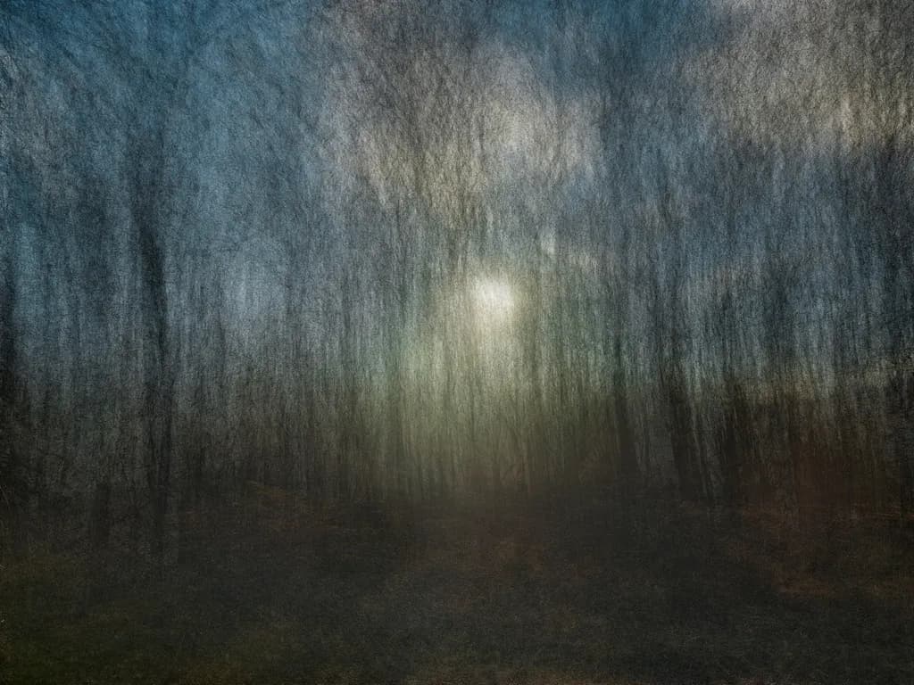Whispers of Light: A Dreamlike Forest Encounter at Dusk