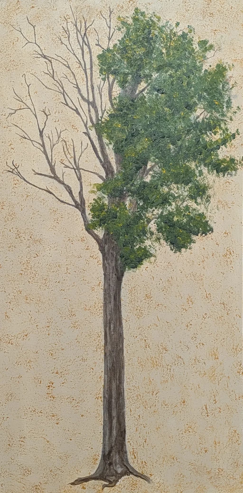 Half Leafed Tree