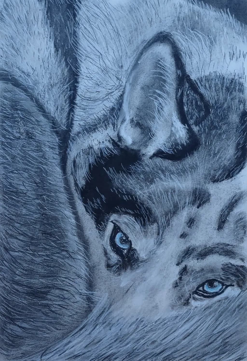 Whispers of the Wild: A Close Encounter with Nature's Majesty