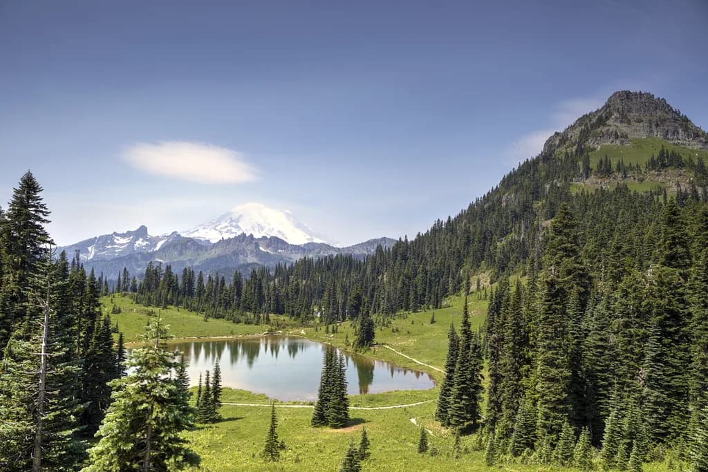Mount Rainier Reflection