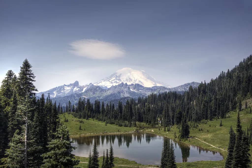 Mount Rainier Forest Lake