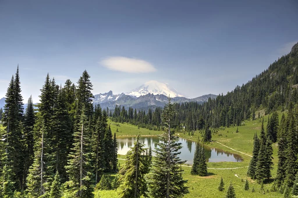 Mount Rainier Reflection