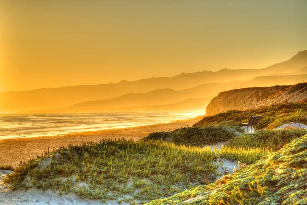 Golden Horizons: A Serene Sunset Over Coastal Dunes