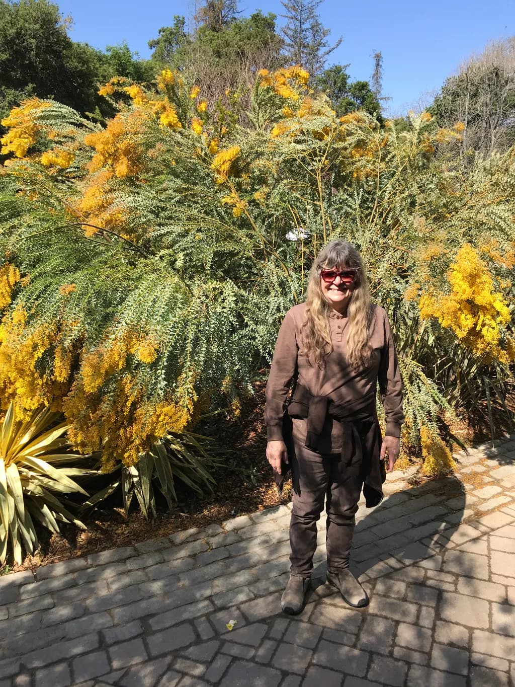 Golden Cascade