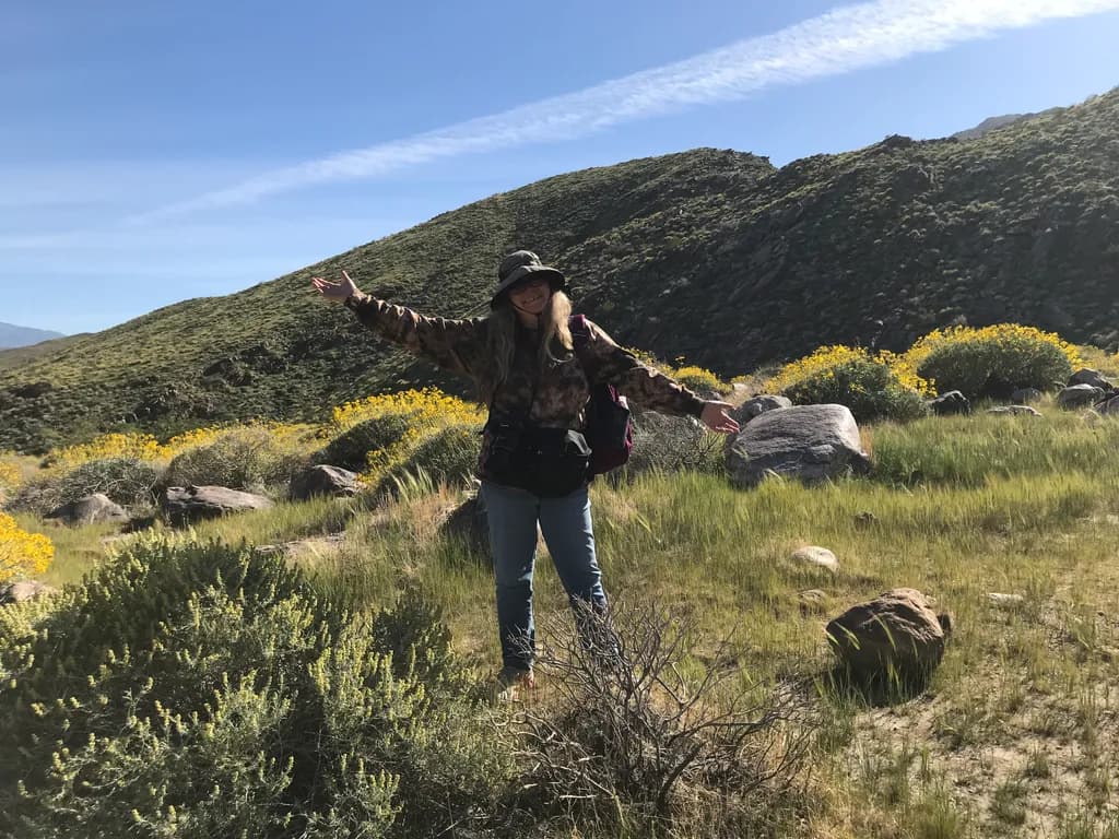 Golden Hill Pause