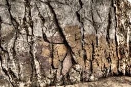 Rock Wall, Point Magu