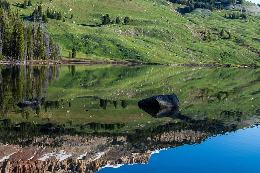 Mirror Meadow