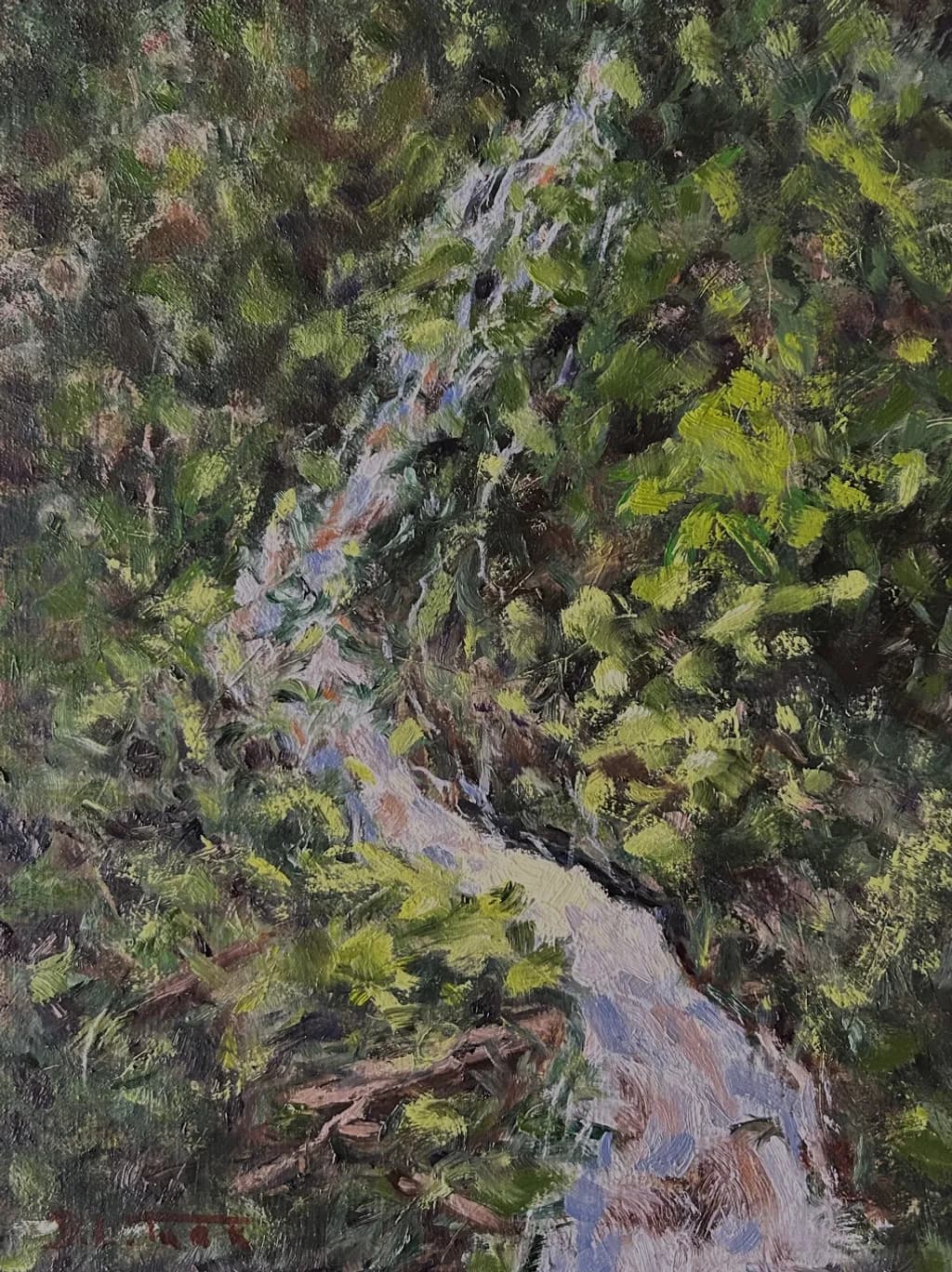 Hidden Falls