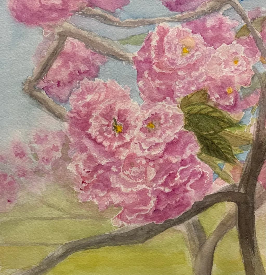 Spring Blossoming