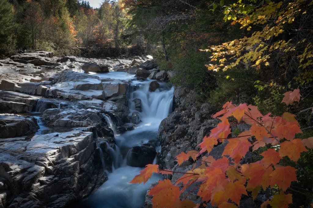 Autumn Cascade
