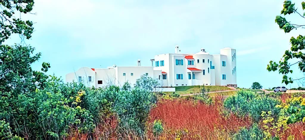Modern Oasis