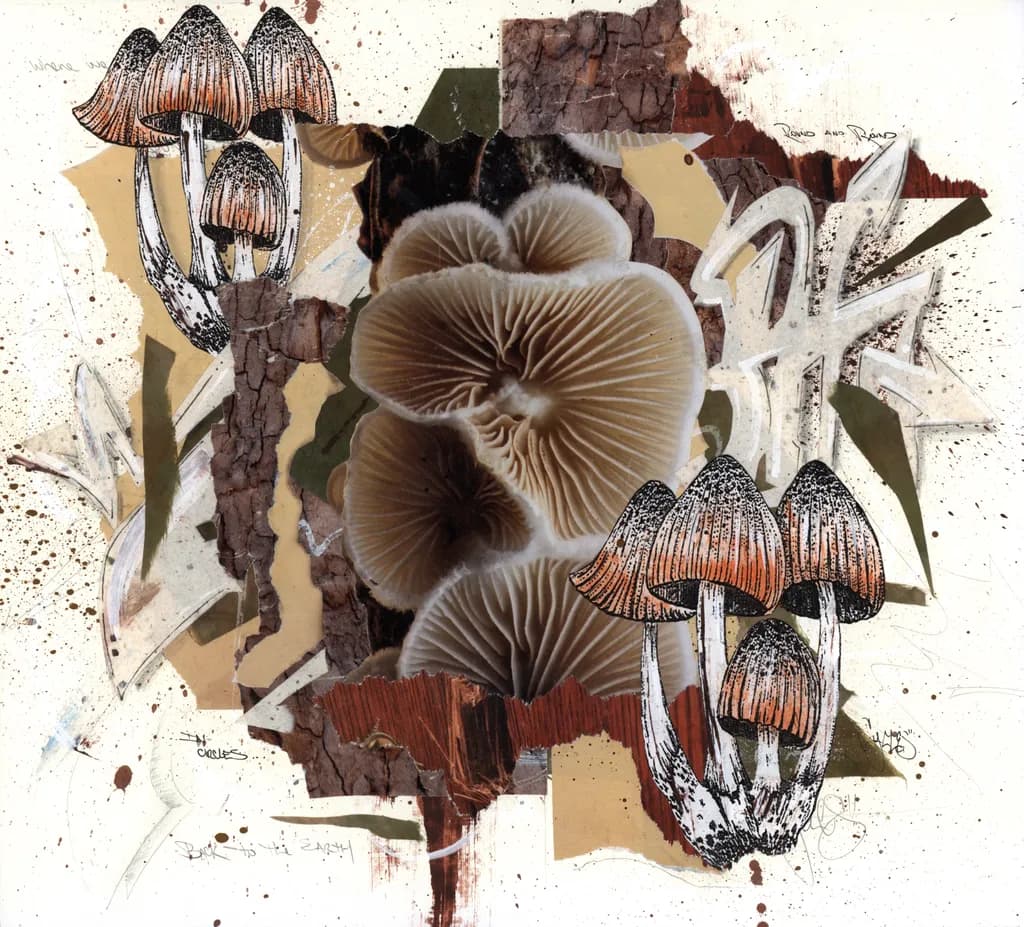 Scan 3 Mushrooms