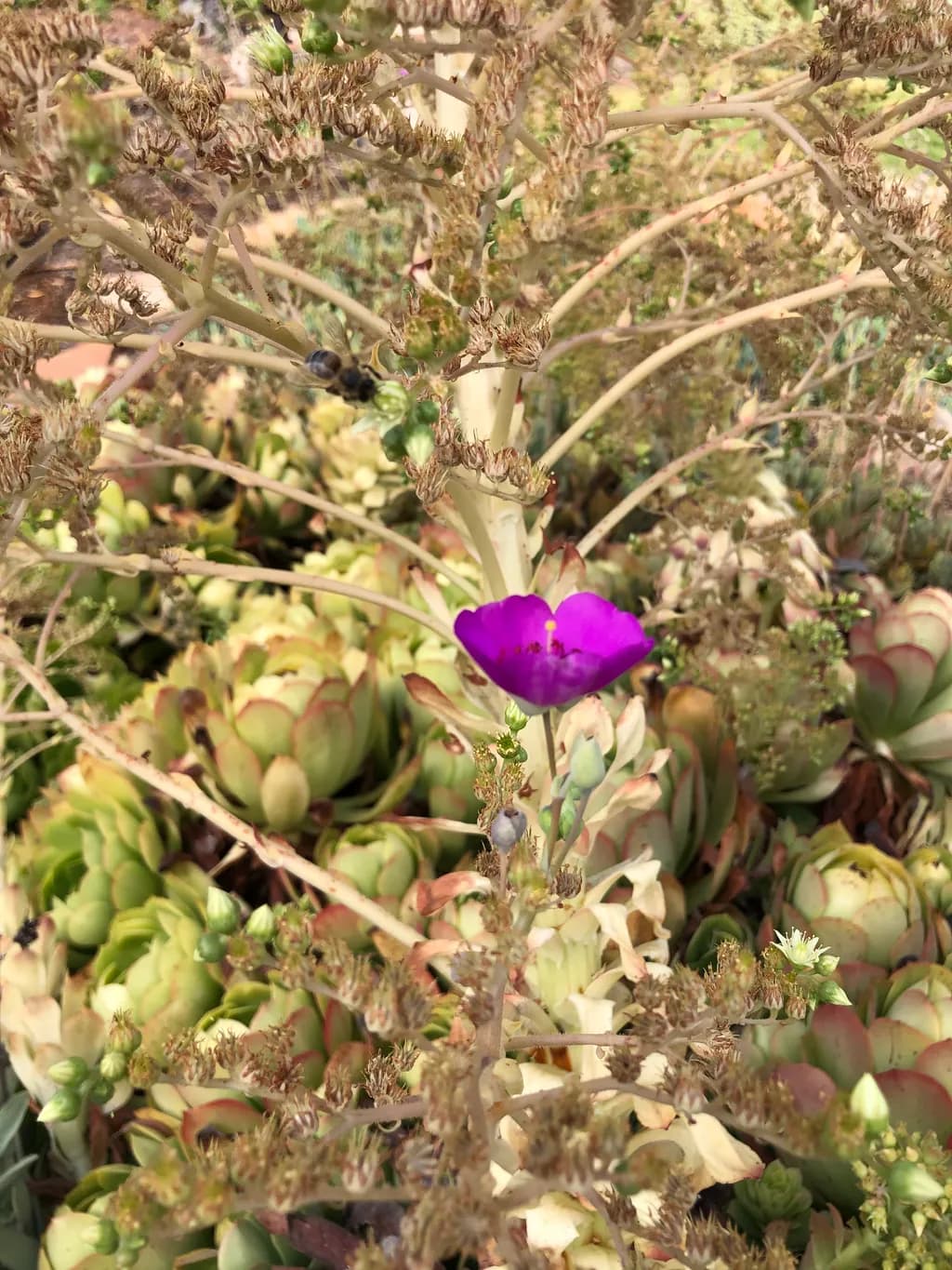 Resilient Bloom