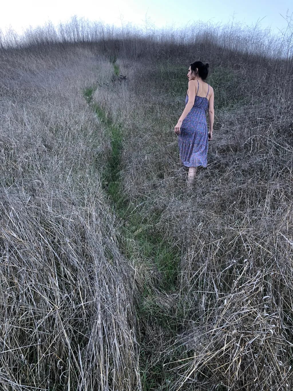 Pathway Through Grass