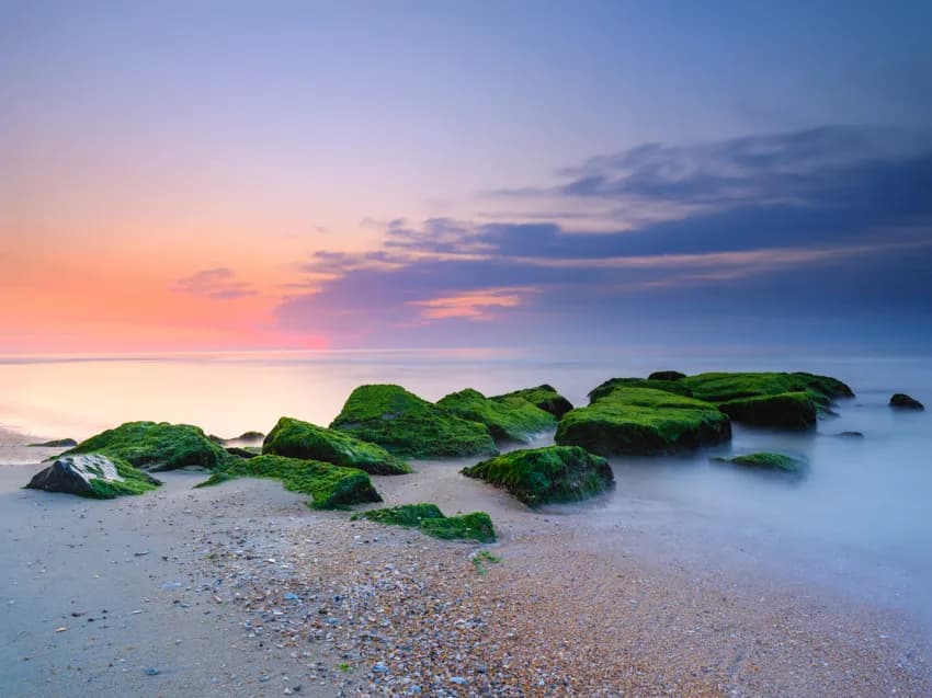 Serenity at Dusk: Tranquil Waters and Moss-Covered Rocks by the Shoreline