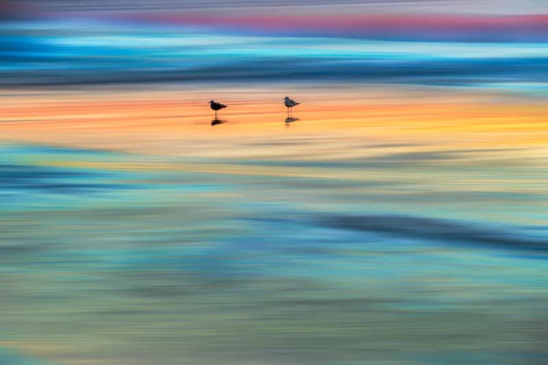 Whispers of Dawn: Seagulls in a Colorful Seascape Reflection