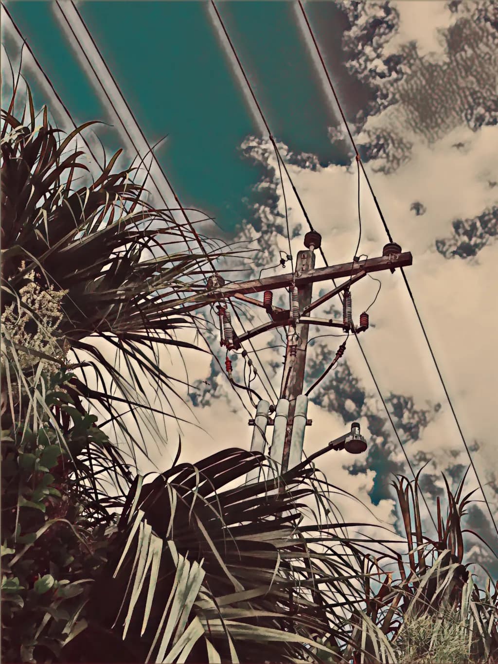 Urban Harmony: The Power of Nature and Sky in Contrast