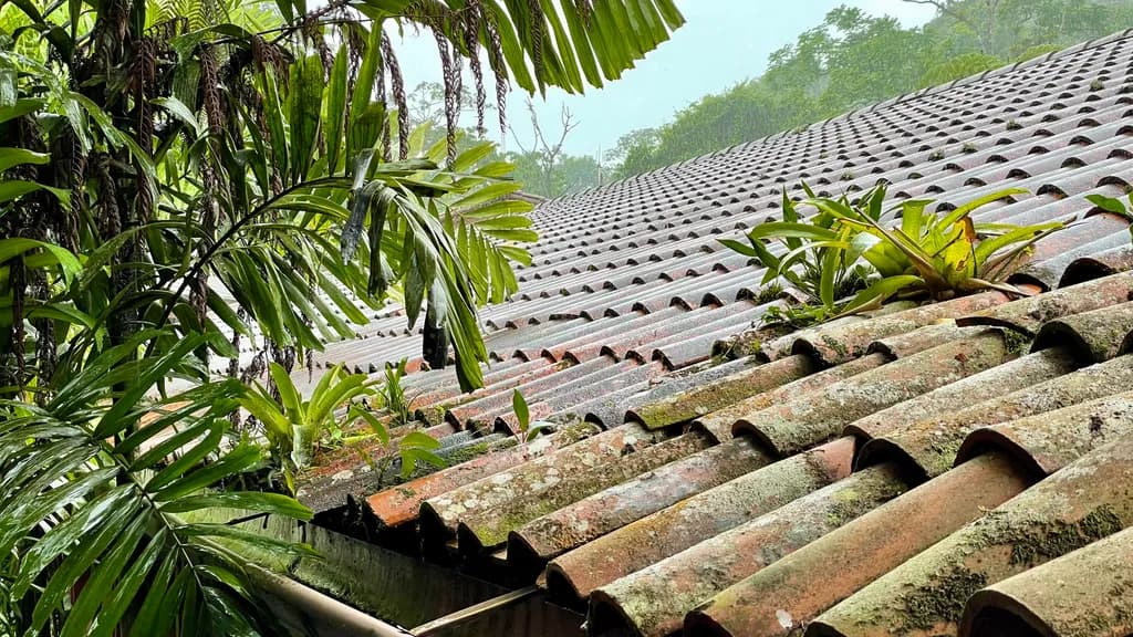 Whispers of Nature: Lush Greenery Embracing a Weathered Roof in Tranquil Harmony