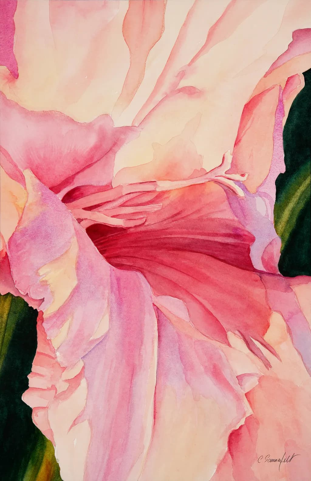 Whispers of Petals: A Delicate Dance of Pink and Light in Watercolor Elegance