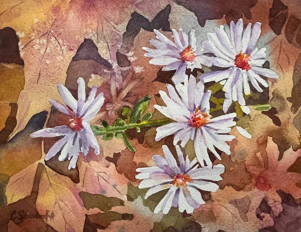 Daisies in Autumn