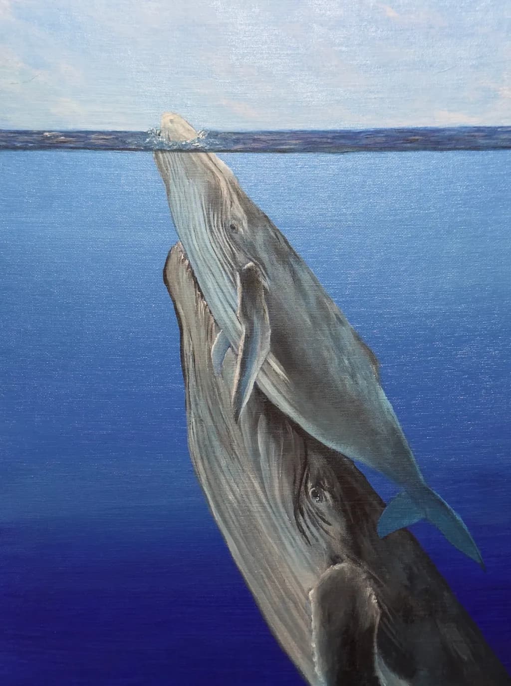 Take A Breath Whales