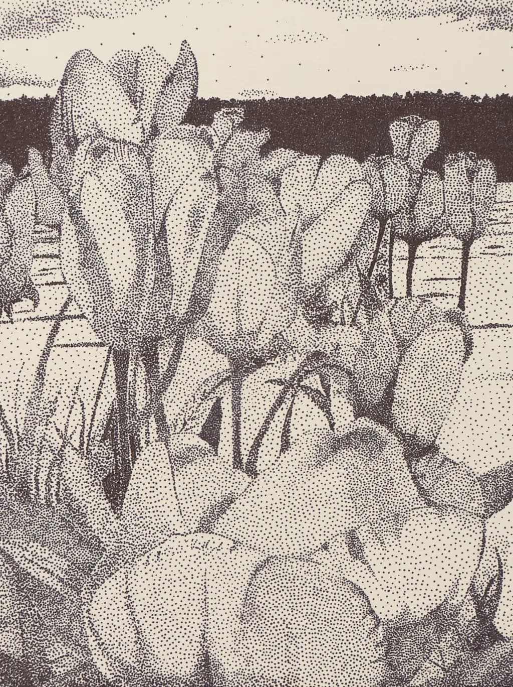 Tulips In Stippled Serenity