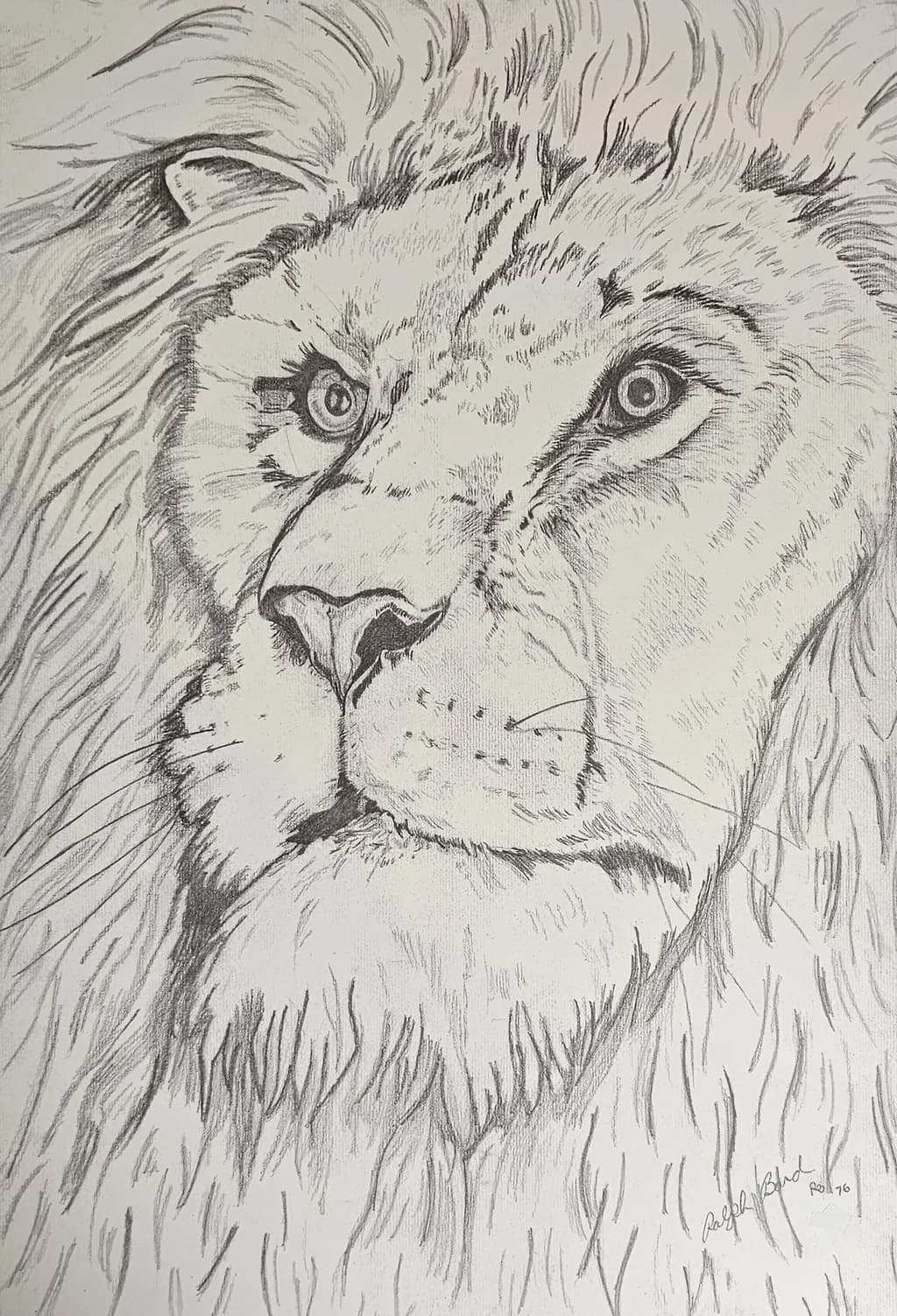 Majestic Gaze: A Detailed Portrait of a Lion's Strength and Grace