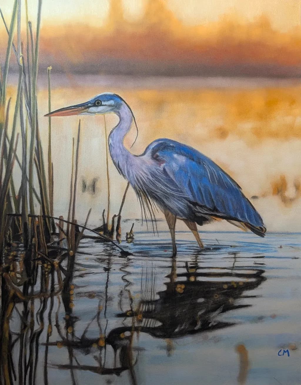 Blue Heron Moment