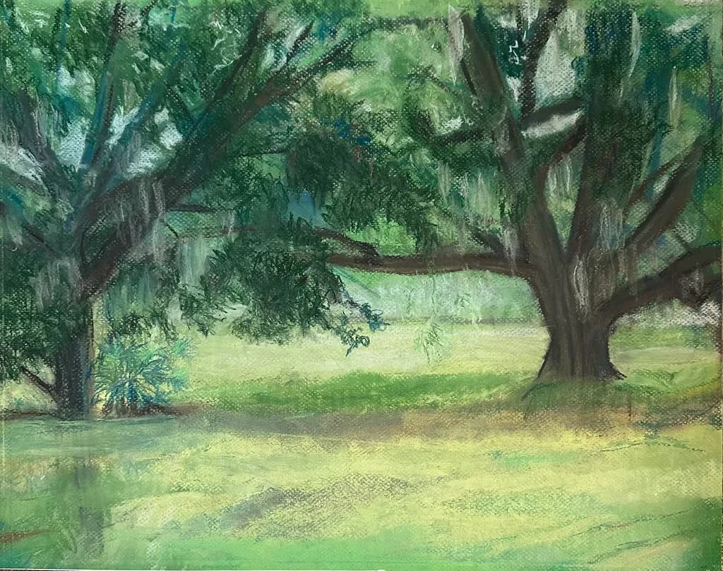 Southern Shade