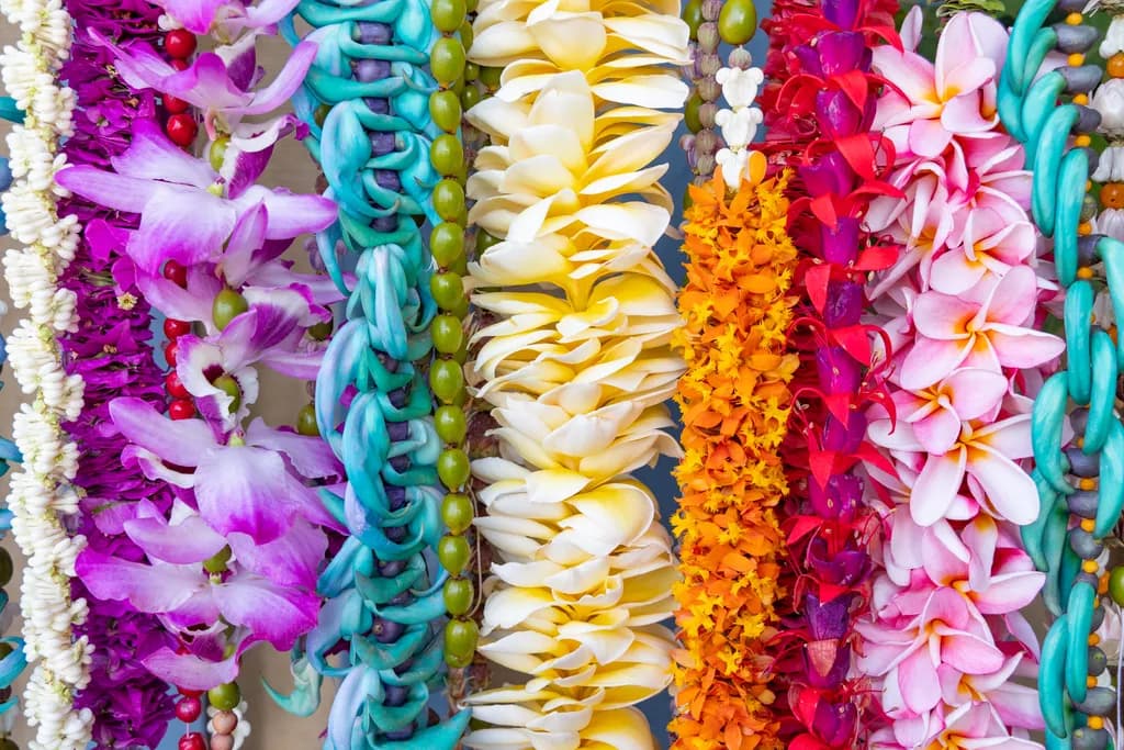 Floral Textures