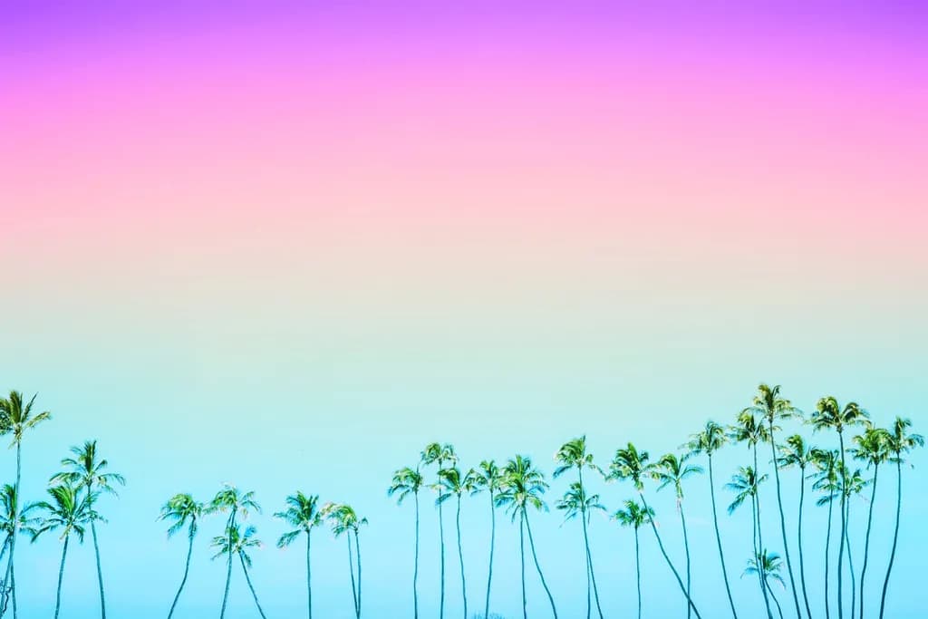Baldwin Palms