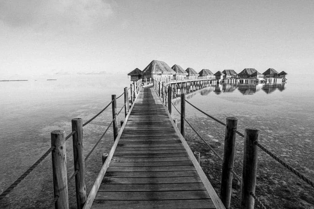 Wooden Pathway Reflection