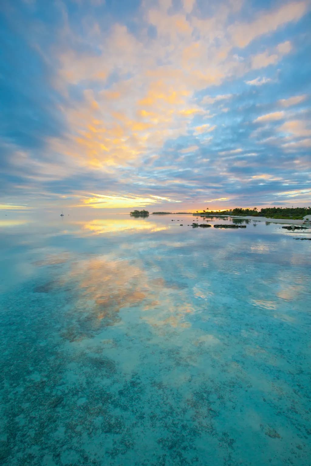 Tranquil Reflections