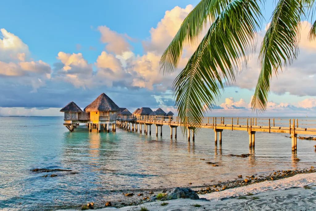 Tropical Retreat