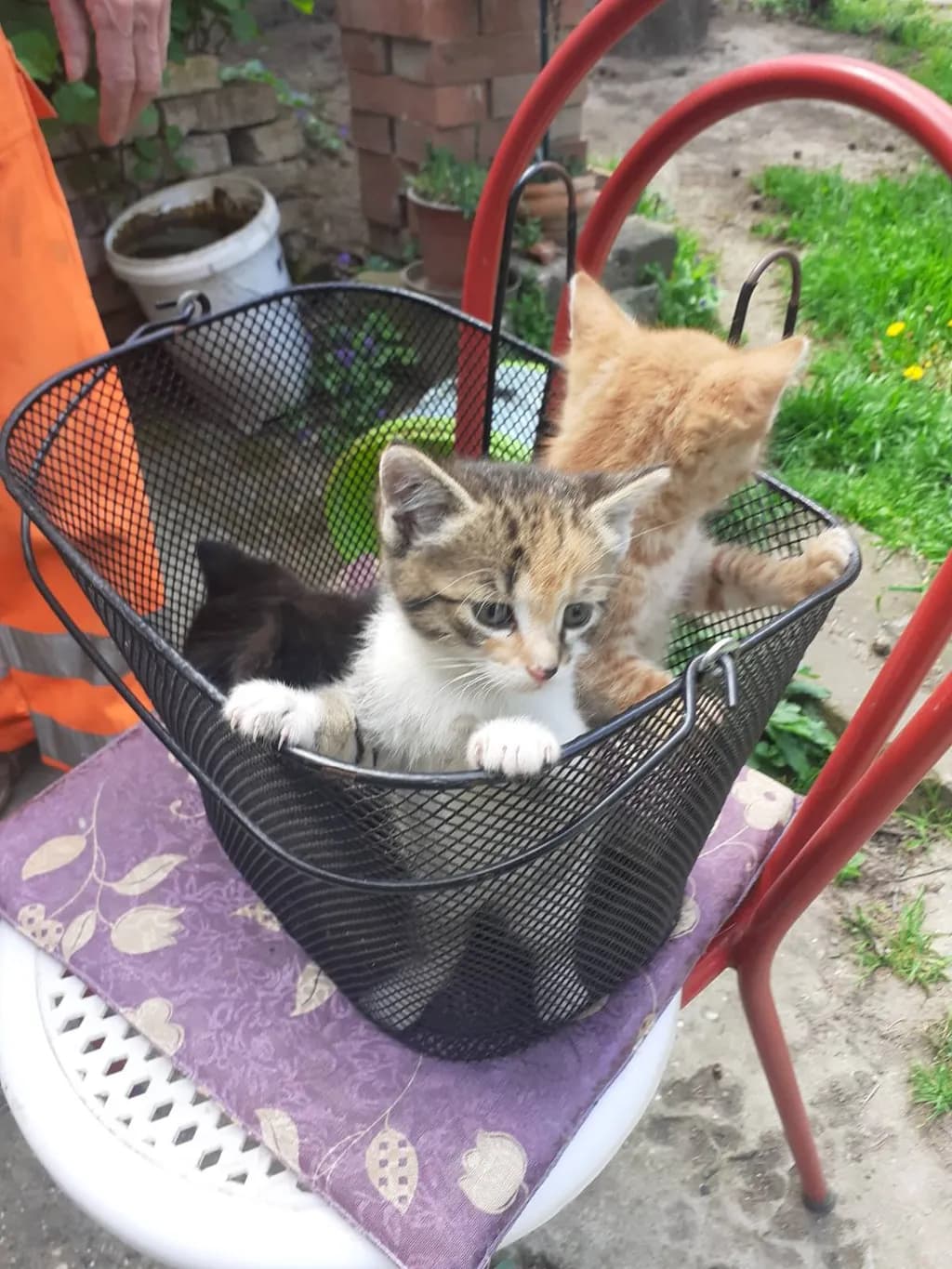 Basket Ride Crew