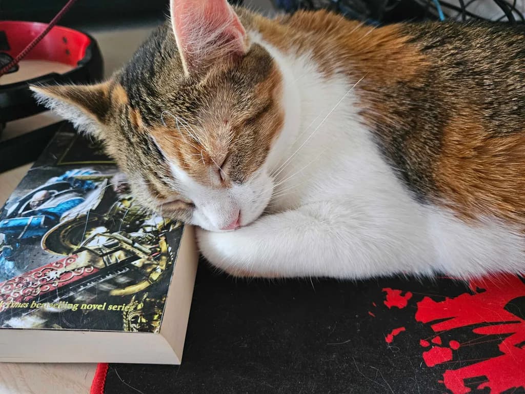 Bookside Nap