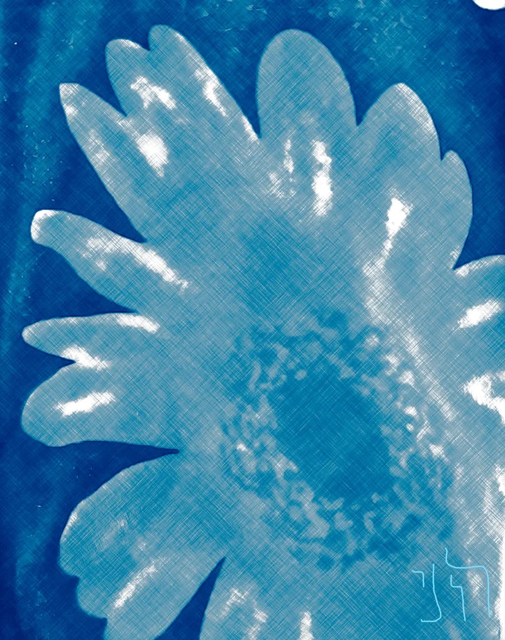 Whispers of Blue: An Abstract Floral Journey Through Nature's Texture